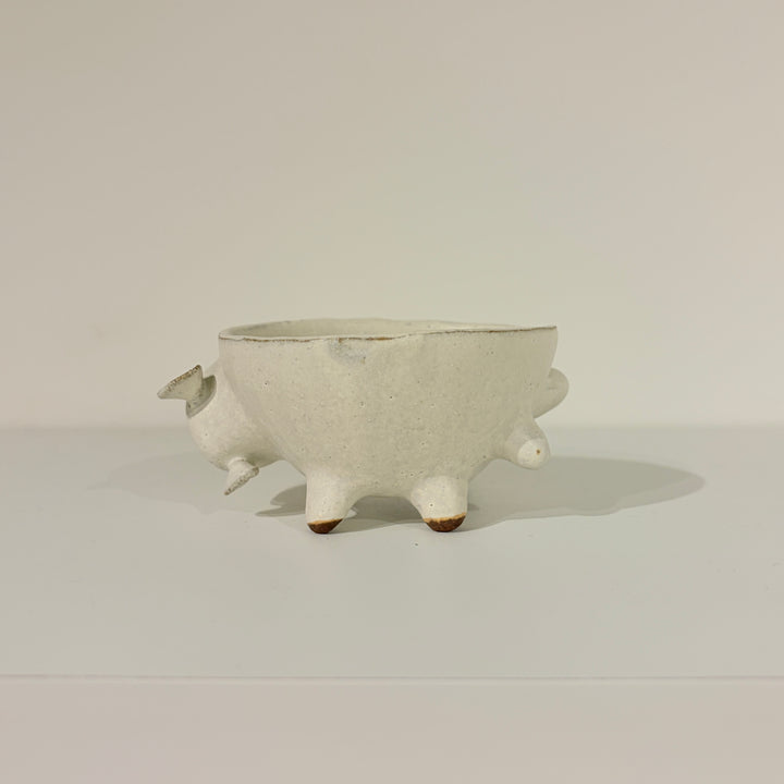 アニマルカップ